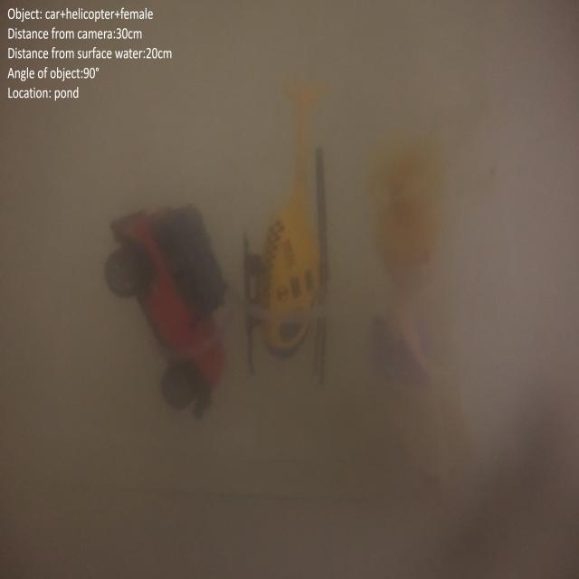 Dataset Image