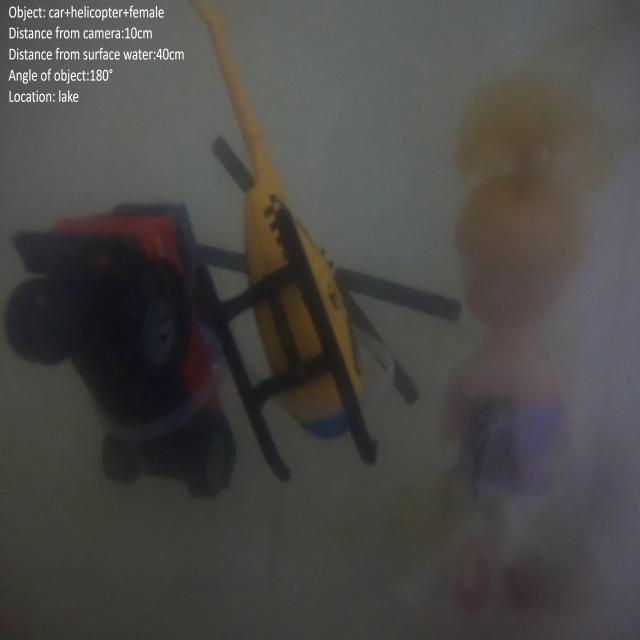Dataset Image