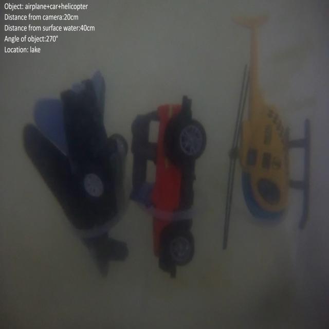 Dataset Image