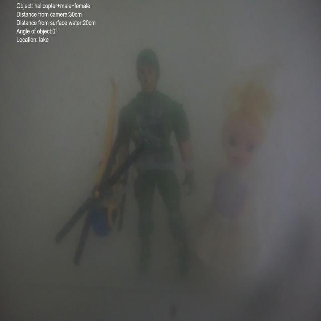 Dataset Image