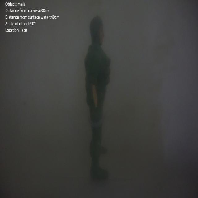 Dataset Image