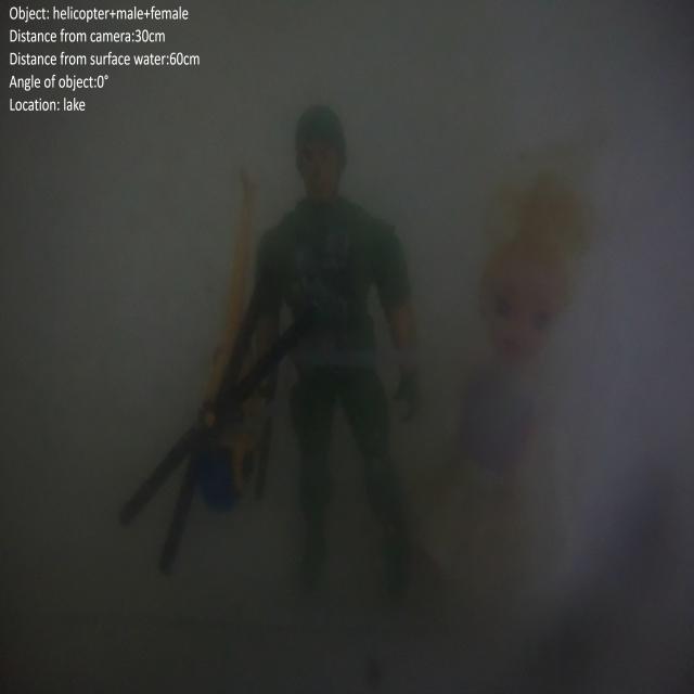Dataset Image