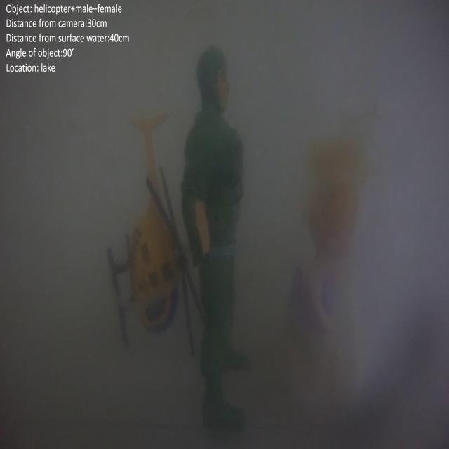 Dataset Image