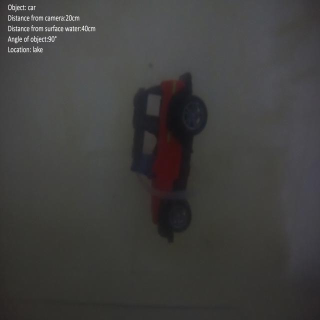 Dataset Image