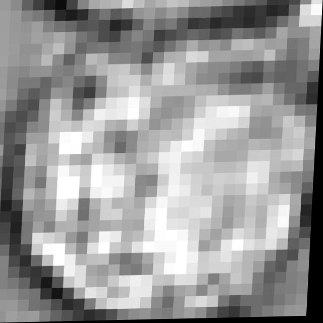 Dataset Image