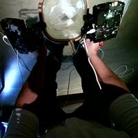 Dataset Image