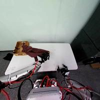 Dataset Image