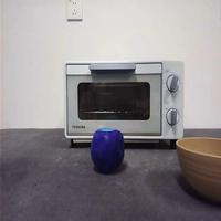 Dataset Image