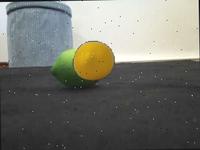 Dataset Image