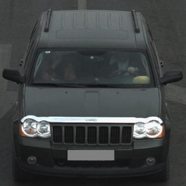Dataset Image