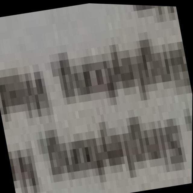 Dataset Image