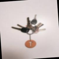 Dataset Image