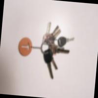 Dataset Image