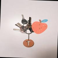 Dataset Image