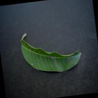 Dataset Image
