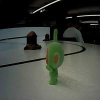 Dataset Image