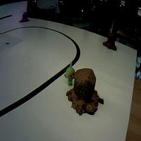 Dataset Image