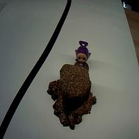 Dataset Image