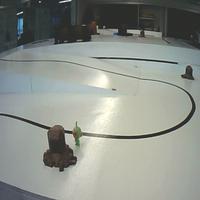 Dataset Image