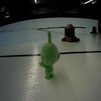 Dataset Image