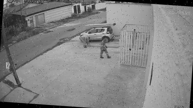 Dataset Image