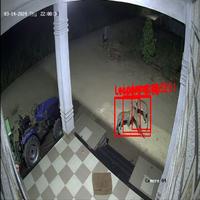 Dataset Image