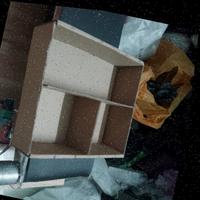 Dataset Image
