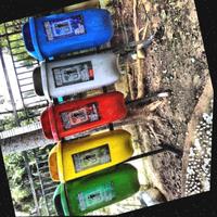 Dataset Image