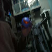 Dataset Image