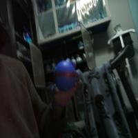 Dataset Image
