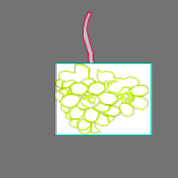 Annotation Visualization