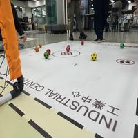 Dataset Image