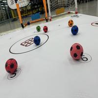 Dataset Image