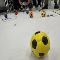Dataset Image