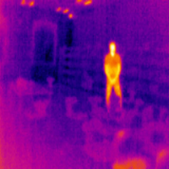 Dataset Image