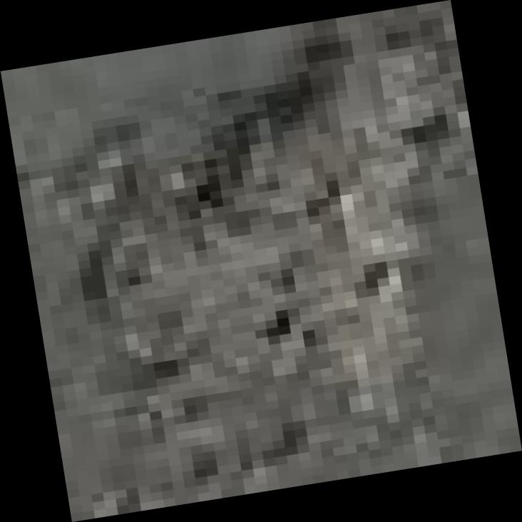 Dataset Image