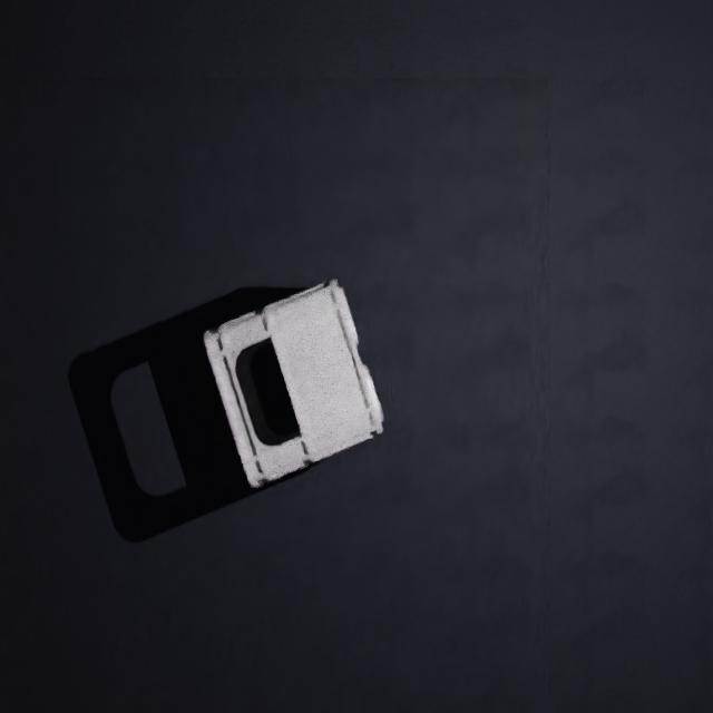 Dataset Image