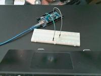 Dataset Image