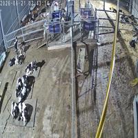 Dataset Image