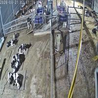 Dataset Image