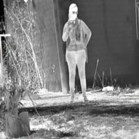 Dataset Image