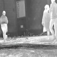 Dataset Image