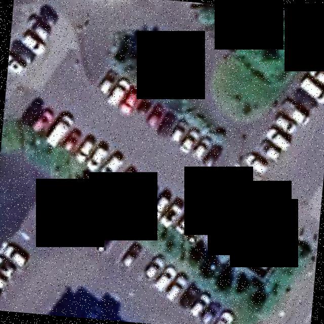 Dataset Image