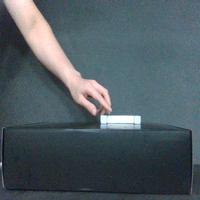 Dataset Image