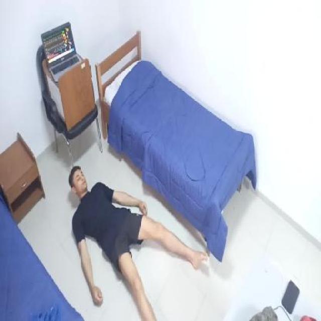 Dataset Image