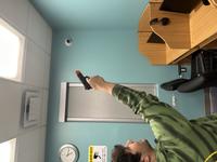 Dataset Image