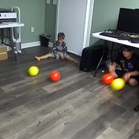 Dataset Image