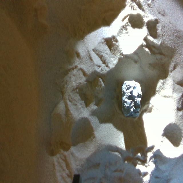 Dataset Image