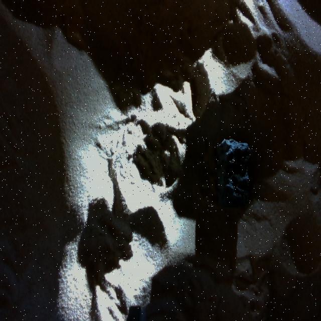 Dataset Image