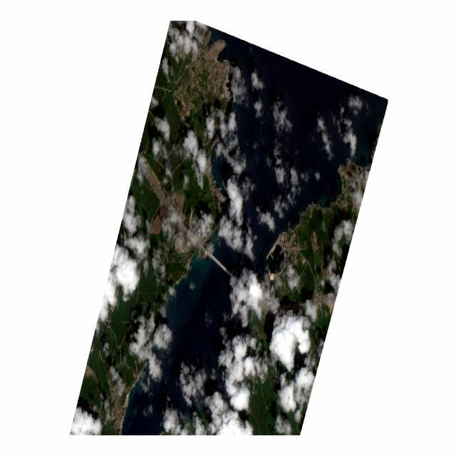 Dataset Image